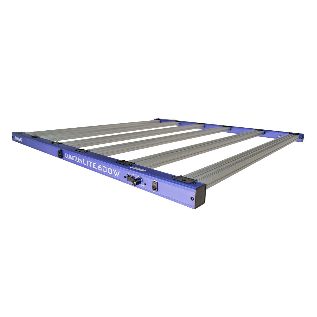 QUANTUM LITE 600W - DELIGHT