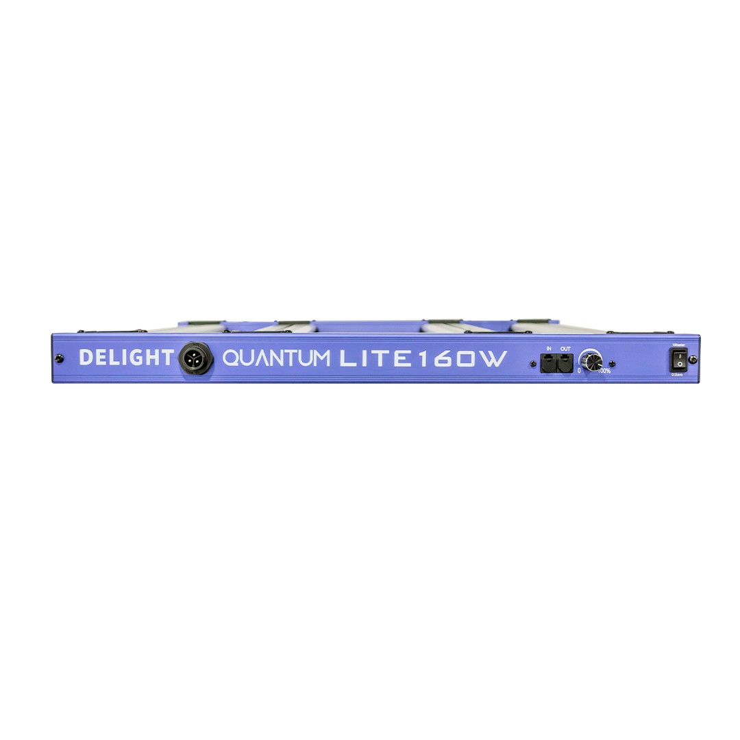 New Quantum Lite 160W - Delight - vista 2