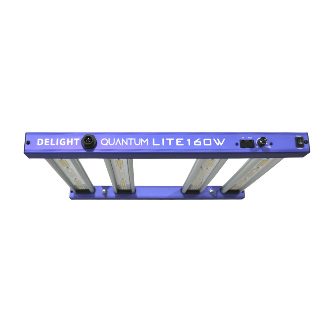 New Quantum Lite 160W - Delight - vista 3