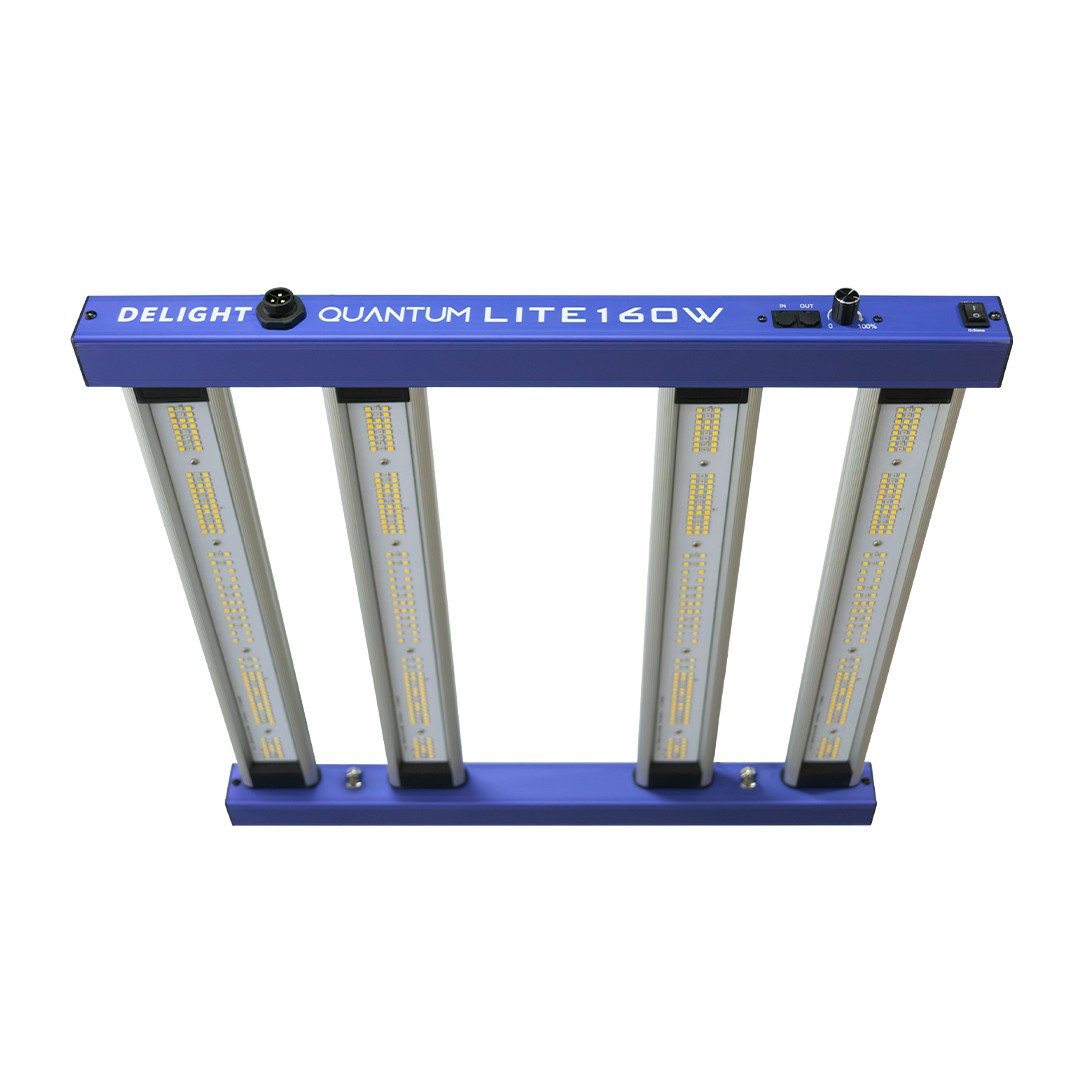 New Quantum Lite 160W - Delight - vista 4