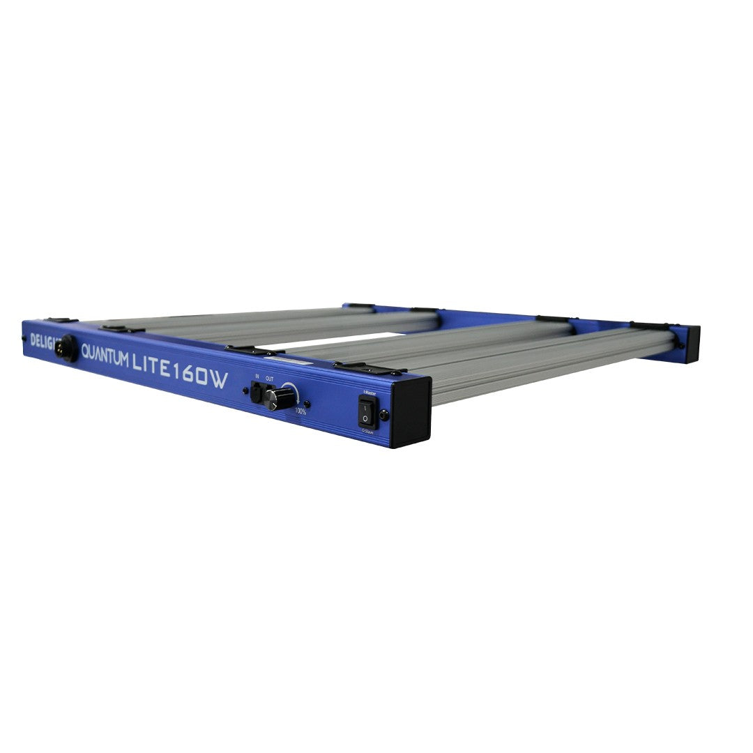 New Quantum Lite 160W - Delight - vista 5