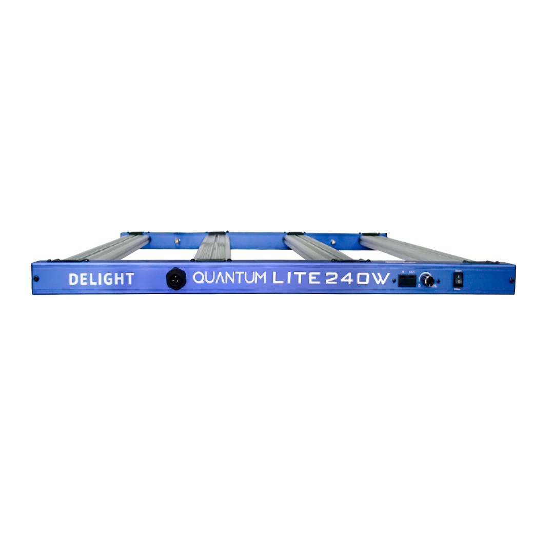 New Quantum Lite 240W - Delight - vista 2