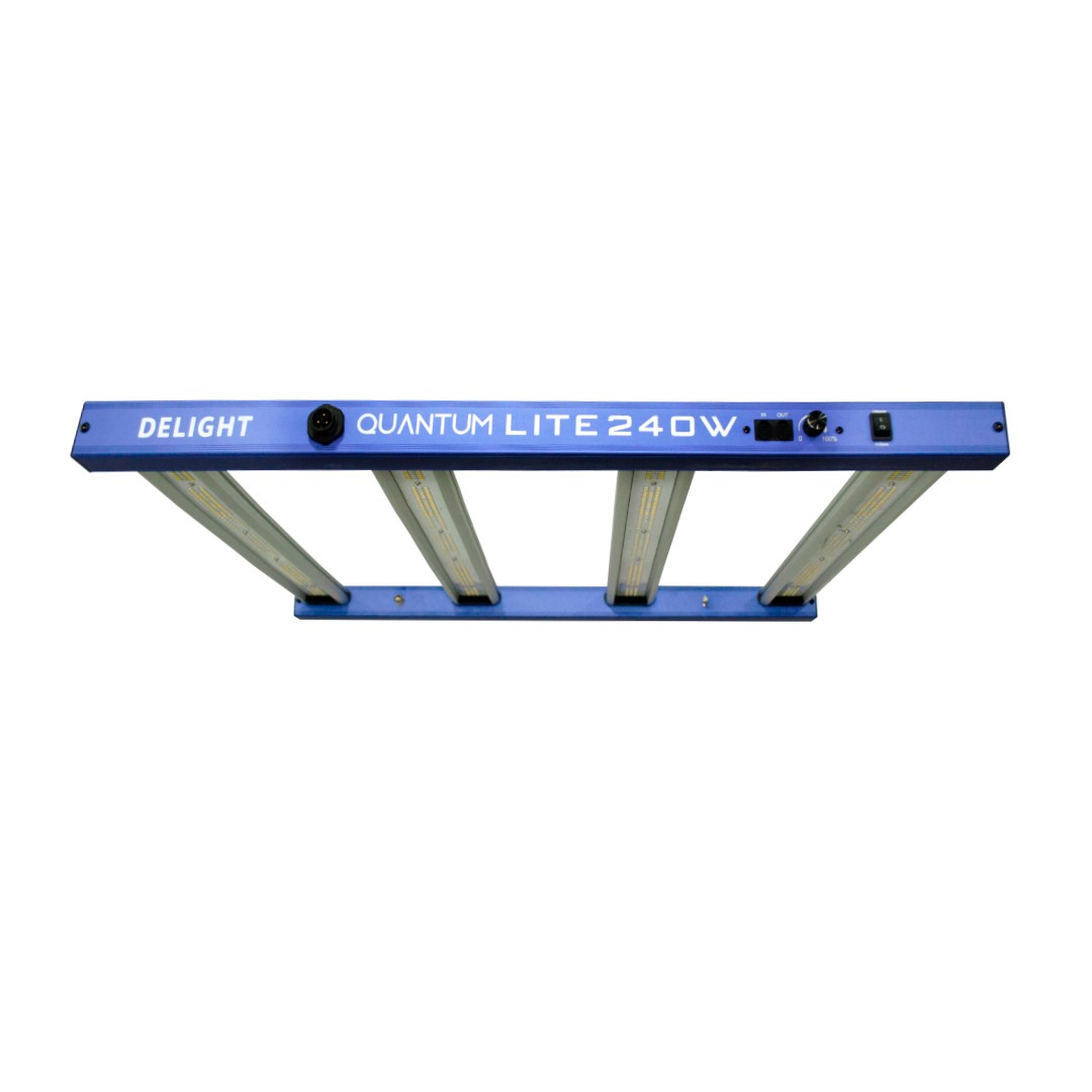 New Quantum Lite 240W - Delight - vista 3