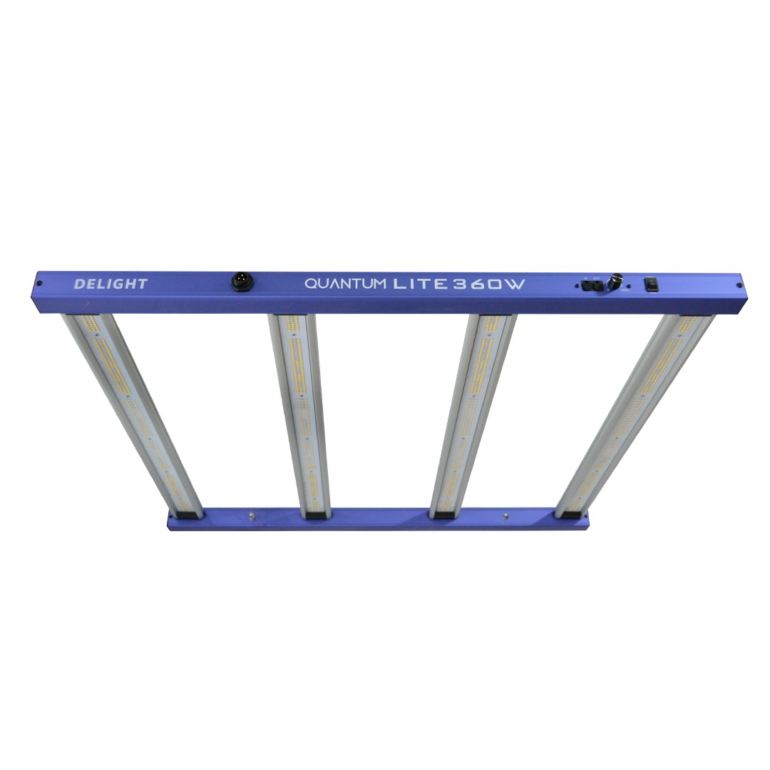 QUANTUM LITE 360W - DELIGHT