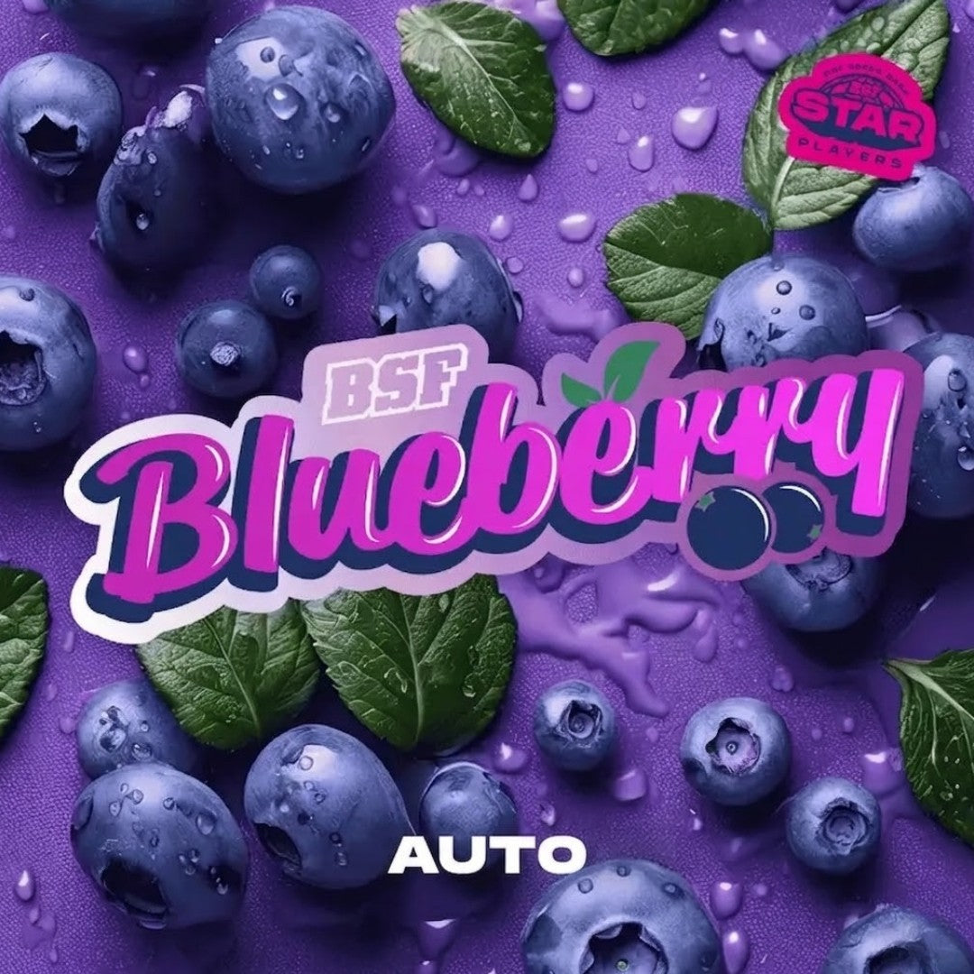 Blue Berry Auto X100 - Bsf - vista 2