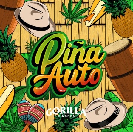 Gorilla Piña Auto X100 - Bsf