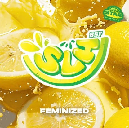 Super Lemon Haze Fem X100 - Bsf