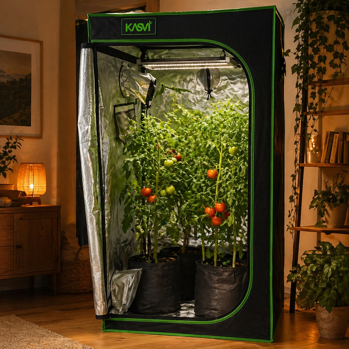 Carpa Cropbox 80X80X160 - Kasvi - vista 3