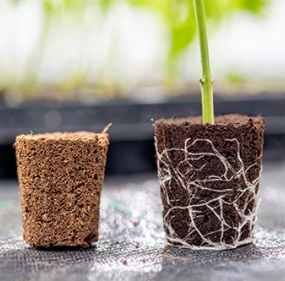 Bandejas Root Plug COCO / TURBA - Canna - vista 4