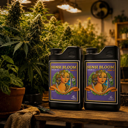 pH Perfect Sensi Bloom A+B 4L - Advanced Nutrients - vista 3