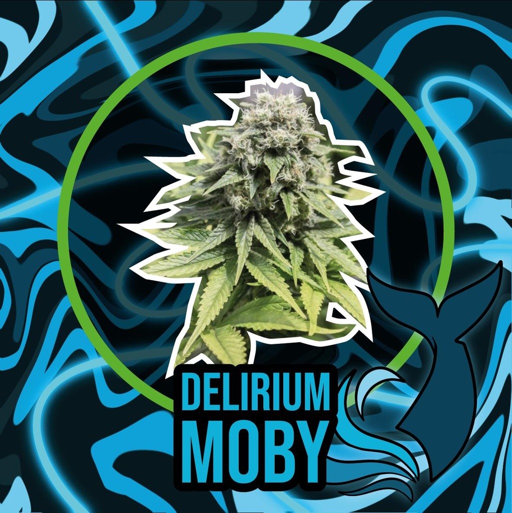 Delirium Moby Fast Version X7 - Delirium Seeds