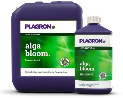 Alga Bloom 100ML - Plagron