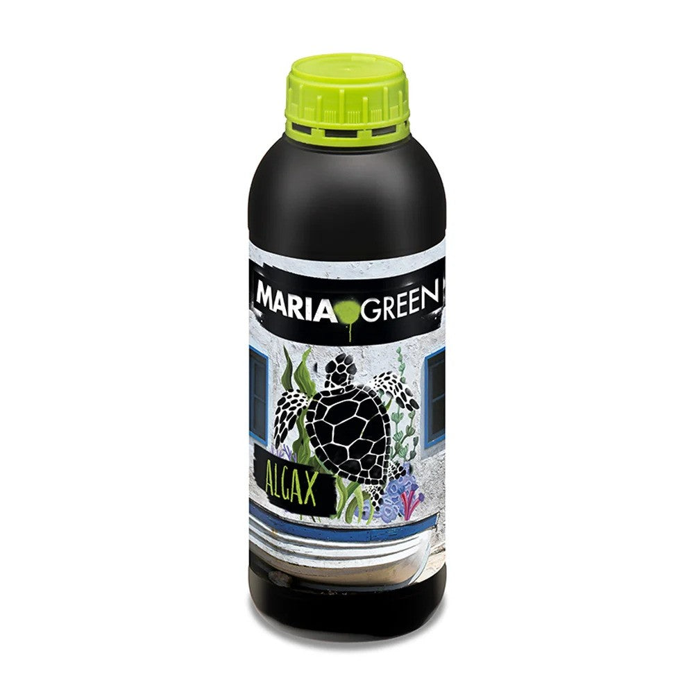 Algax 1LT - Maria Green