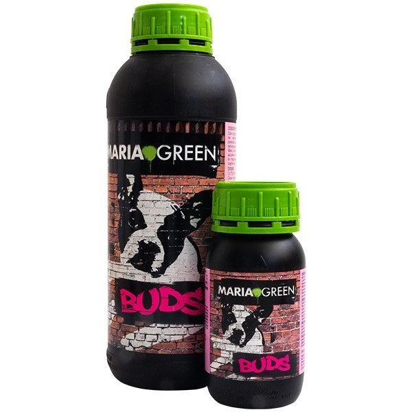 Buds 5LT - Maria Green