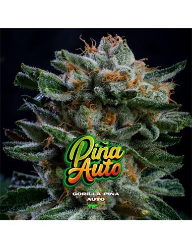 Gorilla Piña Auto X7 - Bsf