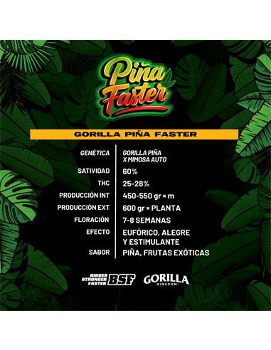 Gorilla Piña Fast Version X12 - Bsf