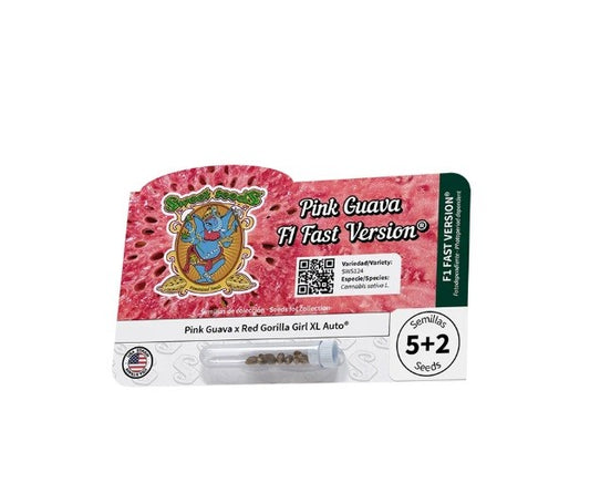 2x1 Pink Guava F1 Fast Version 5+2 - Sweet Seeds