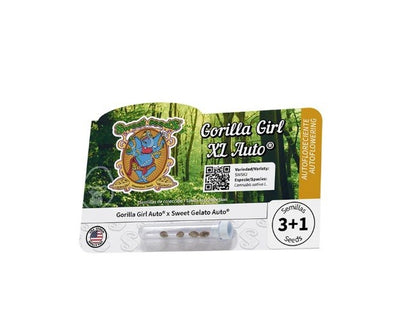 2x1 Gorilla Girl XL Auto 3+1 - Sweet Seeds