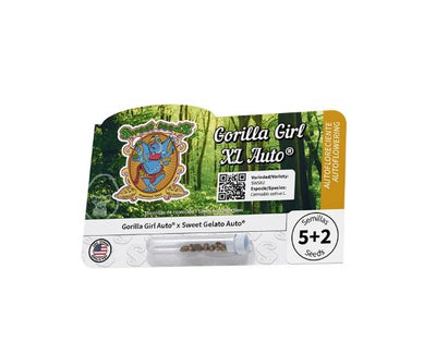 2x1 Gorilla Girl XL Auto 5+2 - Sweet Seeds
