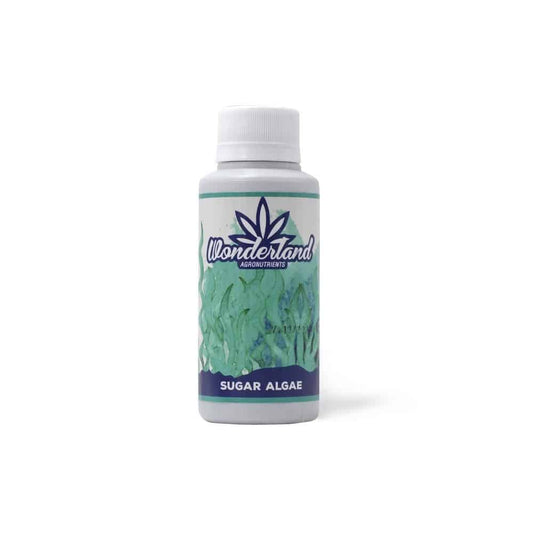 Sugar Algae 120ML - Wonderland