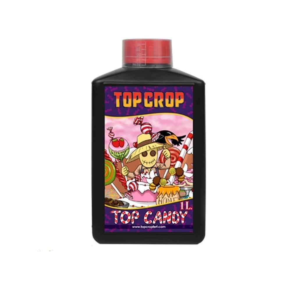 Top Candy 1LT - Top Crop