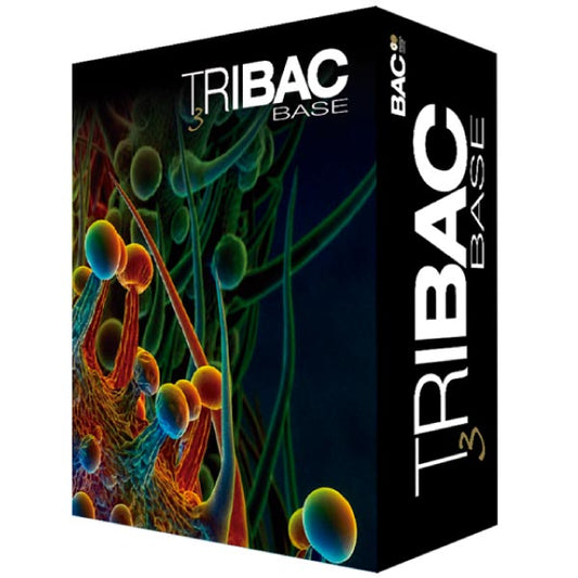 Bac - Tribac