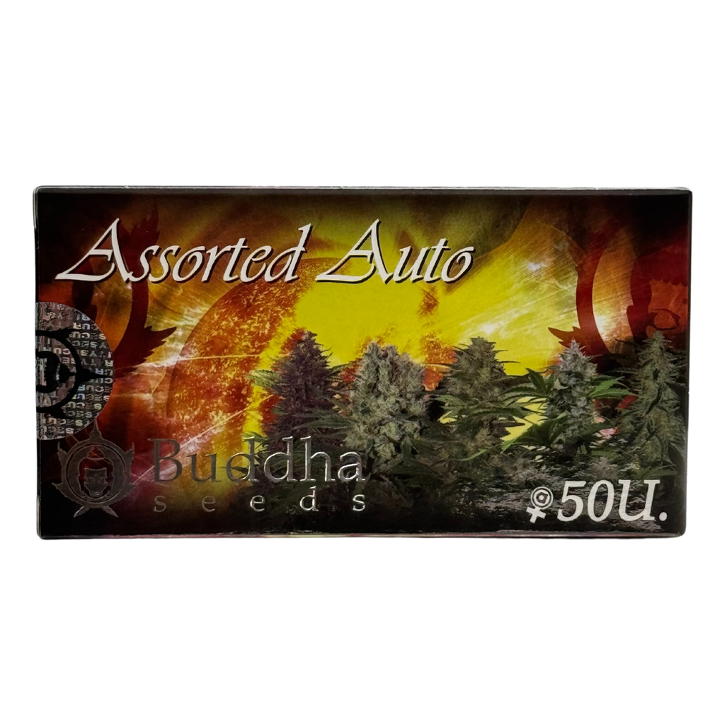 Buddha Seeds - Buddha Assorted Auto X50
