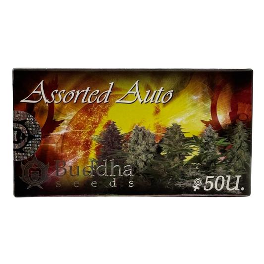 Buddha Seeds - Buddha Assorted Auto X50