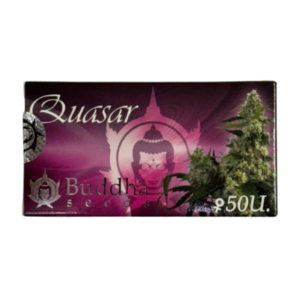Buddha Seeds - Buddha Quasar Fem X50
