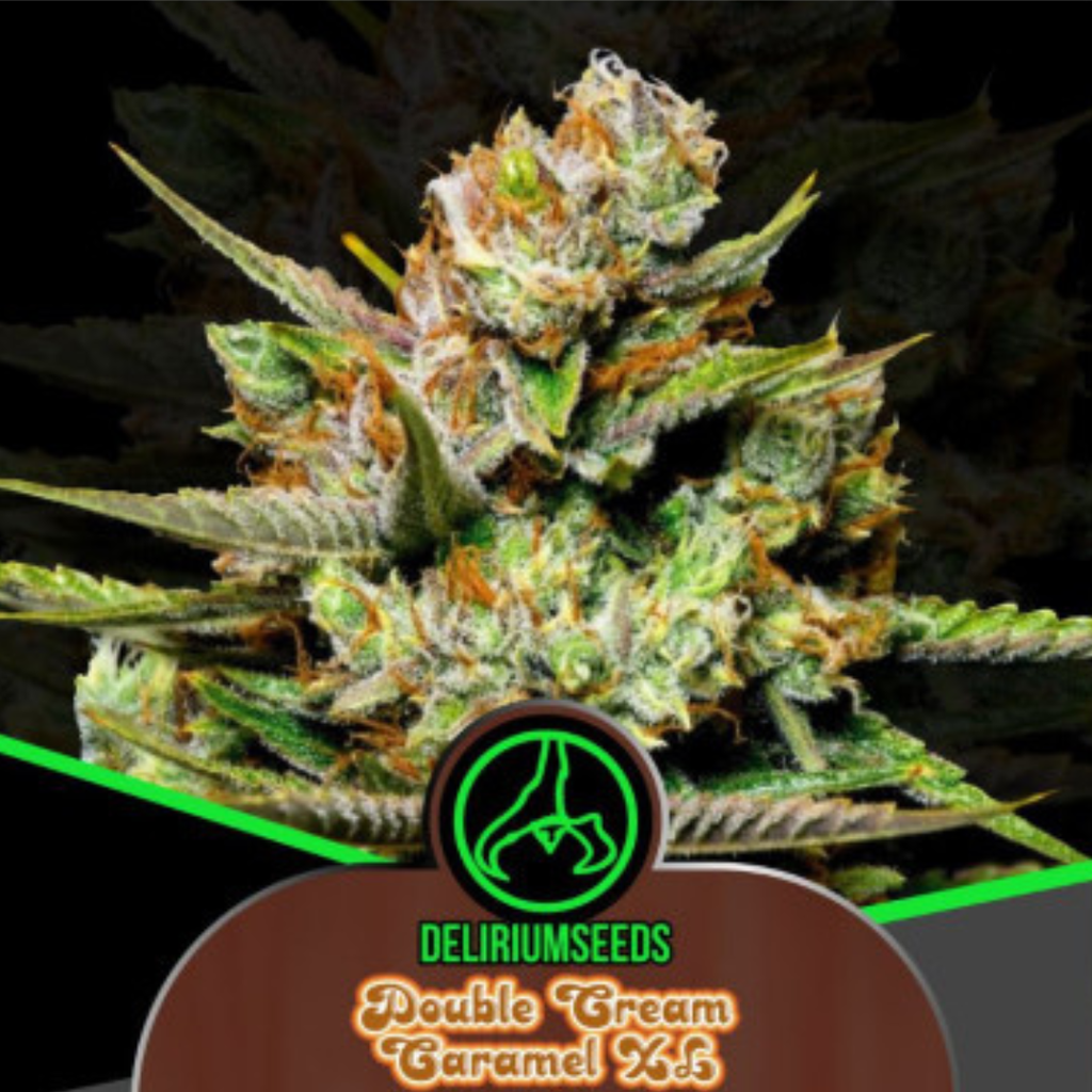 Delirium Seeds - Double Cream Caramel Auto X4