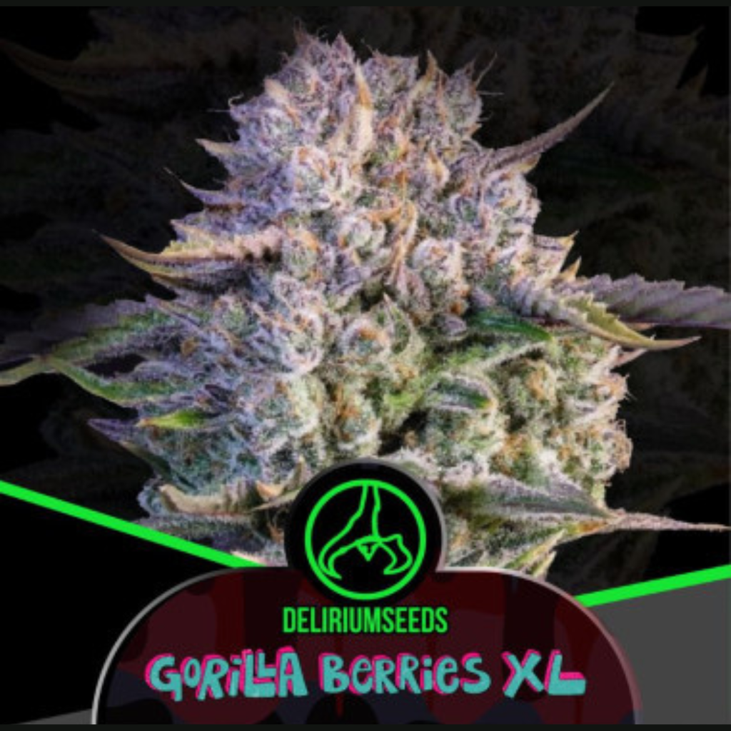 Delirium Seeds - Gorilla Berries Fem Xl X4
