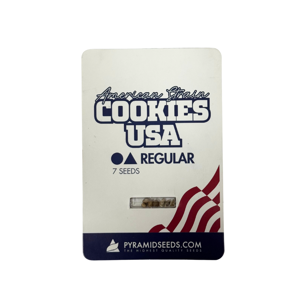 Pyramid Seeds - Cookies Usa Regular X7 Unidades