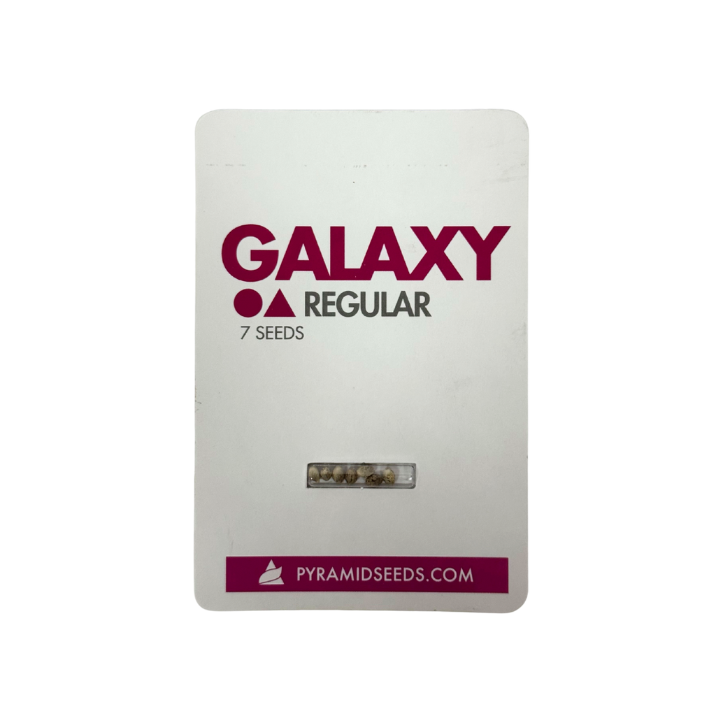 Pyramid Seeds - Galaxy Regular X7 Unidades