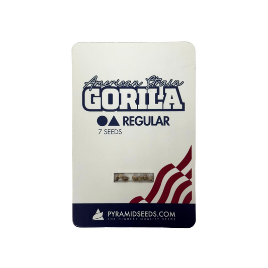 Pyramid Seeds - Gorila Regular X7 Unidades