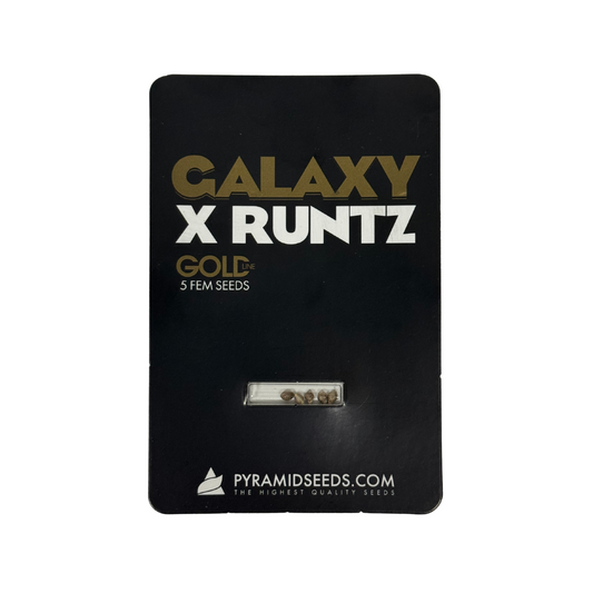 Pyramid Seeds -Galaxy x Runtz Gold Line X5 Unidades
