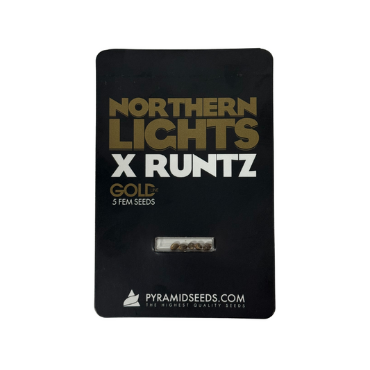 Pyramid Seeds -Northern Lights x Runtz Gold Line X5 Unidades
