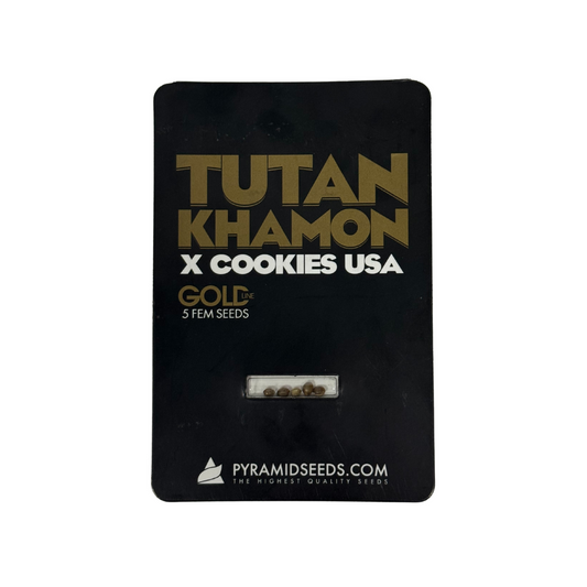 Pyramid Seeds -Tutankhamon x Cookies Usa Gold Line X5 Unidades