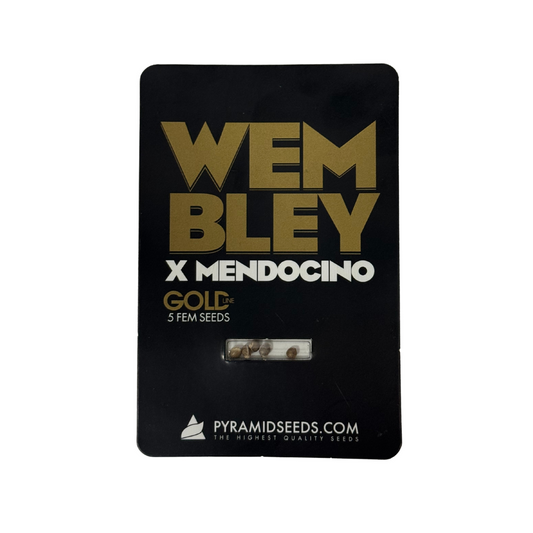 Pyramid Seeds -Wembley x Mendocino Gold Line X5 Unidades