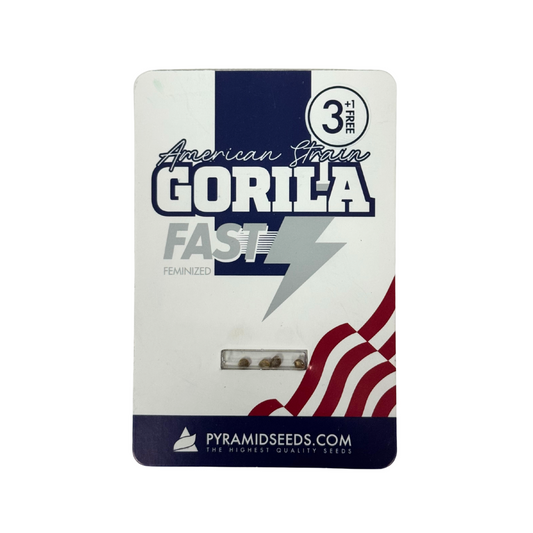 Pyramid Seeds -Gorila Fast Version x 3+1