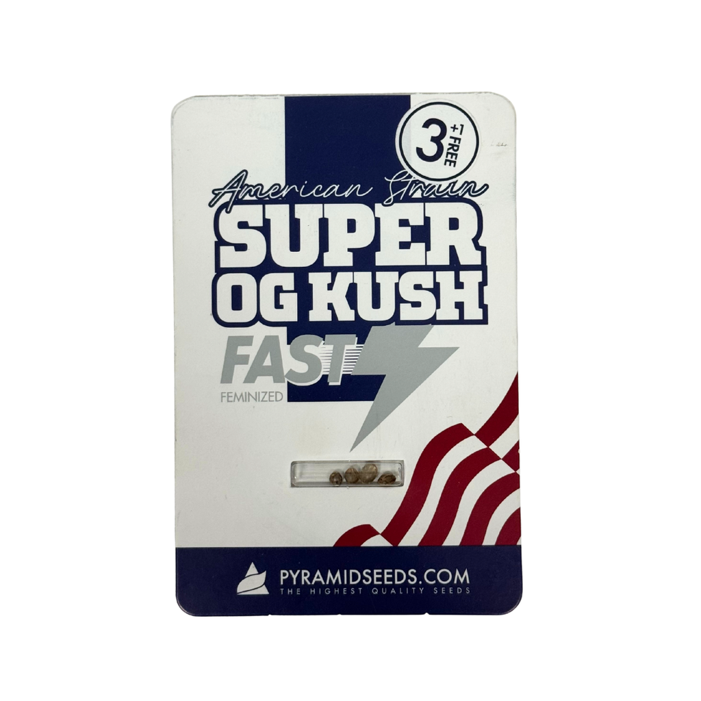 Pyramid Seeds -Super OG Kush Fast Version x 3+1