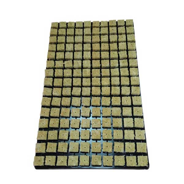 6 Bandejas de 150 Alveolos C/U con Lana de Roca