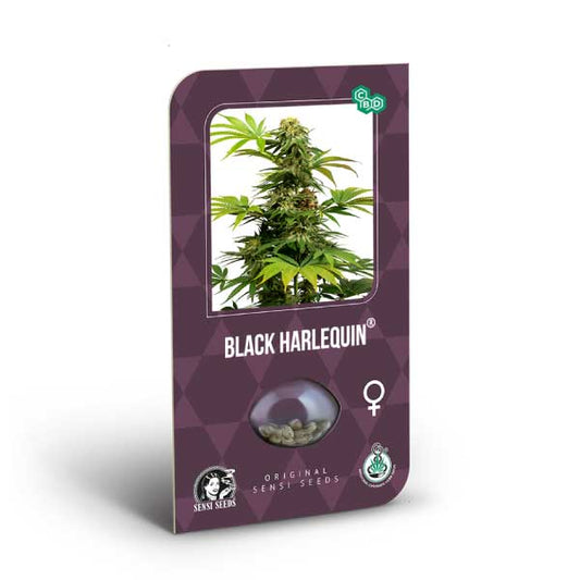 Sensi Seeds - Black Harlequin Fem X3