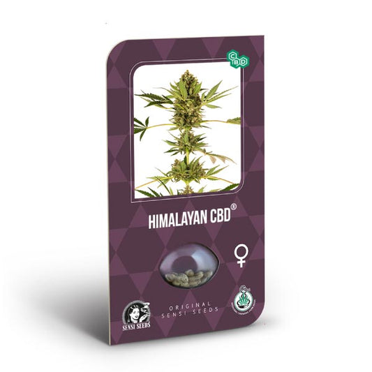 Sensi Seeds - Himalayan Fem CBD X3