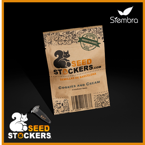 Seed Stockers - Cookies And Cream Auto X3