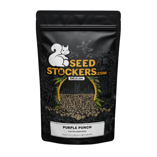 Seed Stockers - Purple Punch Auto X3