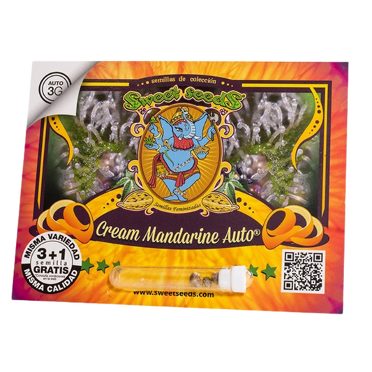 Sweet Seeds - Cream Mandarine Auto 3+1