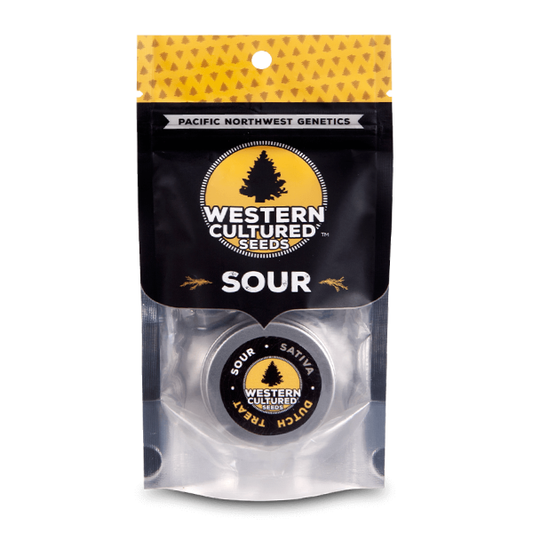 Western Cultured - Dutch Treat Fem X3