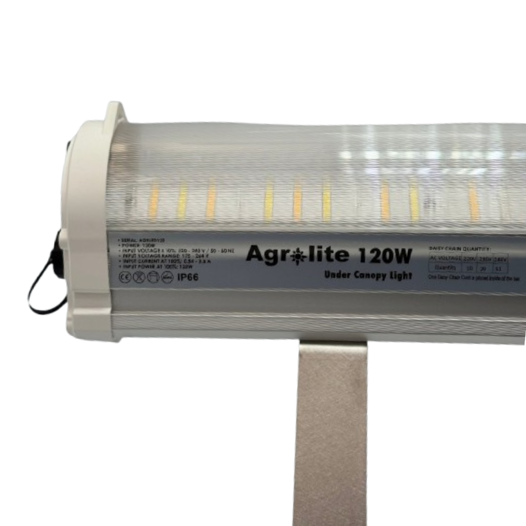Agrolite - Under Canopy LED 120W With Stand - vista 5