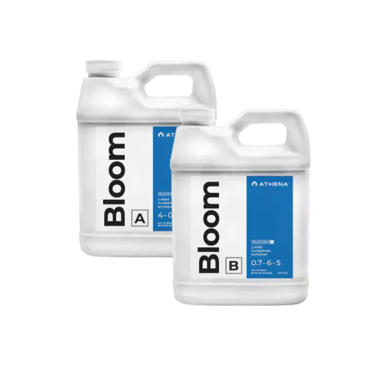 Athena Bloom A+B 32 Oz
