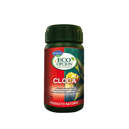 Cloca 180cc